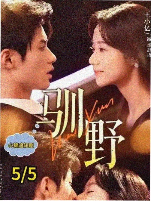 铁轨上的城市在线观看剧集海报